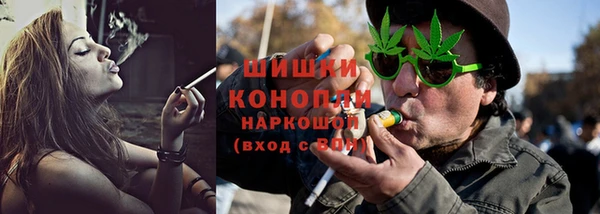прущие грибы Елабуга