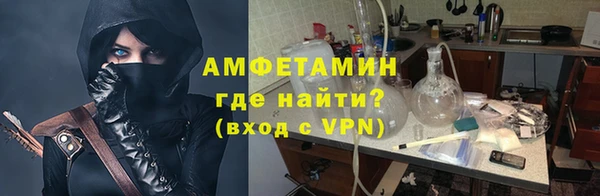 прущие грибы Елабуга