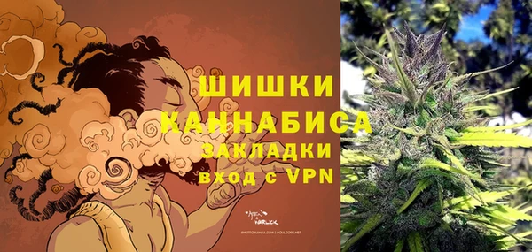 прущая мука Ельня