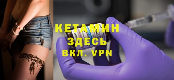 прущие грибы Елабуга