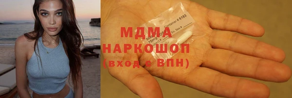 прущие грибы Елабуга