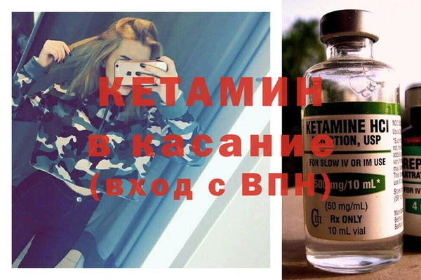 прущие грибы Елабуга