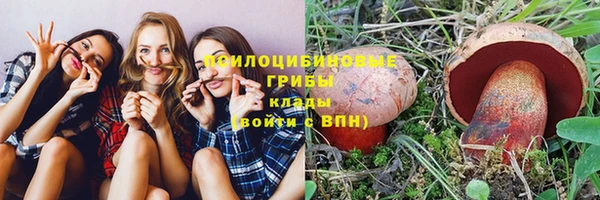 прущая мука Ельня