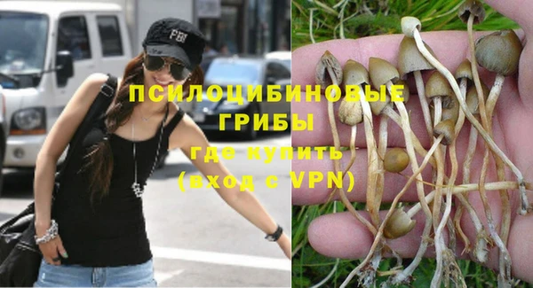 прущая мука Ельня