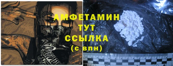 прущие грибы Елабуга