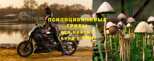 прущая мука Ельня