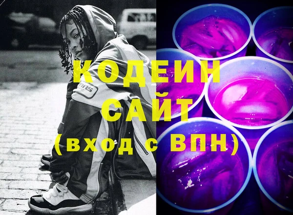 прущие грибы Елабуга