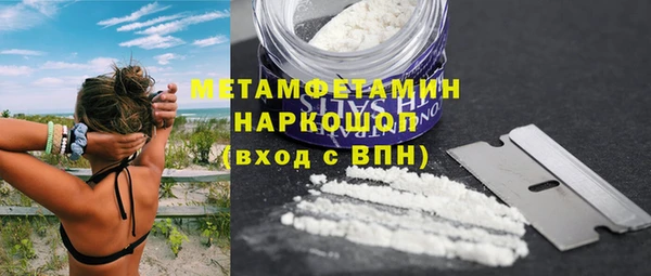 прущие грибы Елабуга