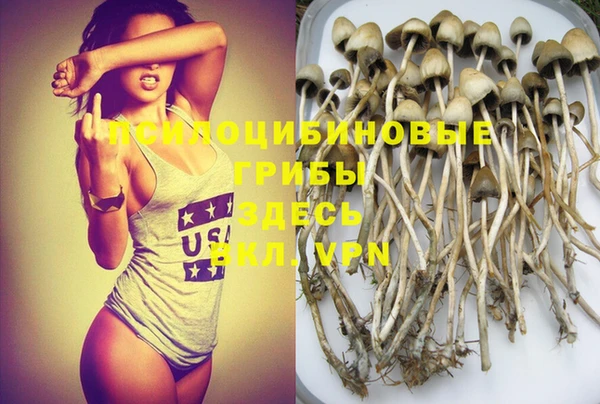 гидропоника Елизово