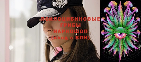 гидропоника Елизово