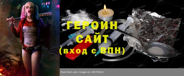 прущие грибы Елабуга