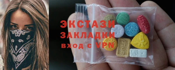 прущие грибы Елабуга