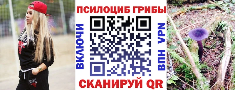 блэк спрут ссылки  Екатеринбург  Галлюциногенные грибы ЛСД 
