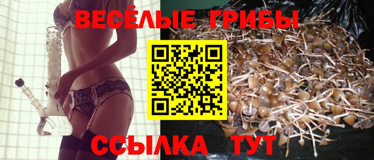 Псилоцибиновые грибы Magic Shrooms  Вход с VPN  Екатеринбург 